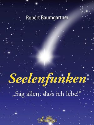 cover image of Seelenfunken